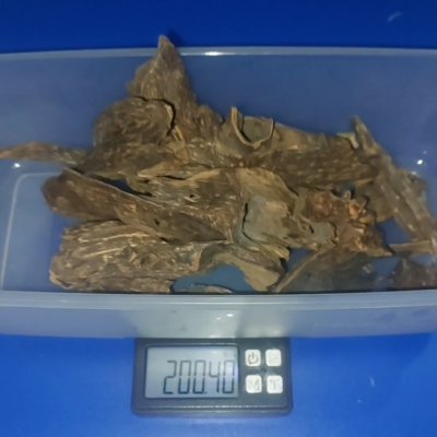 1001860899.jpg